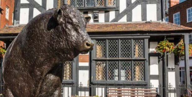 Hereford bull statue